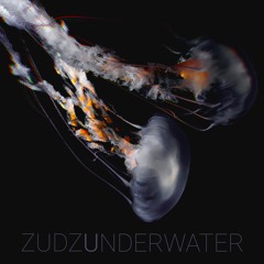 ZuDzu - Underwater