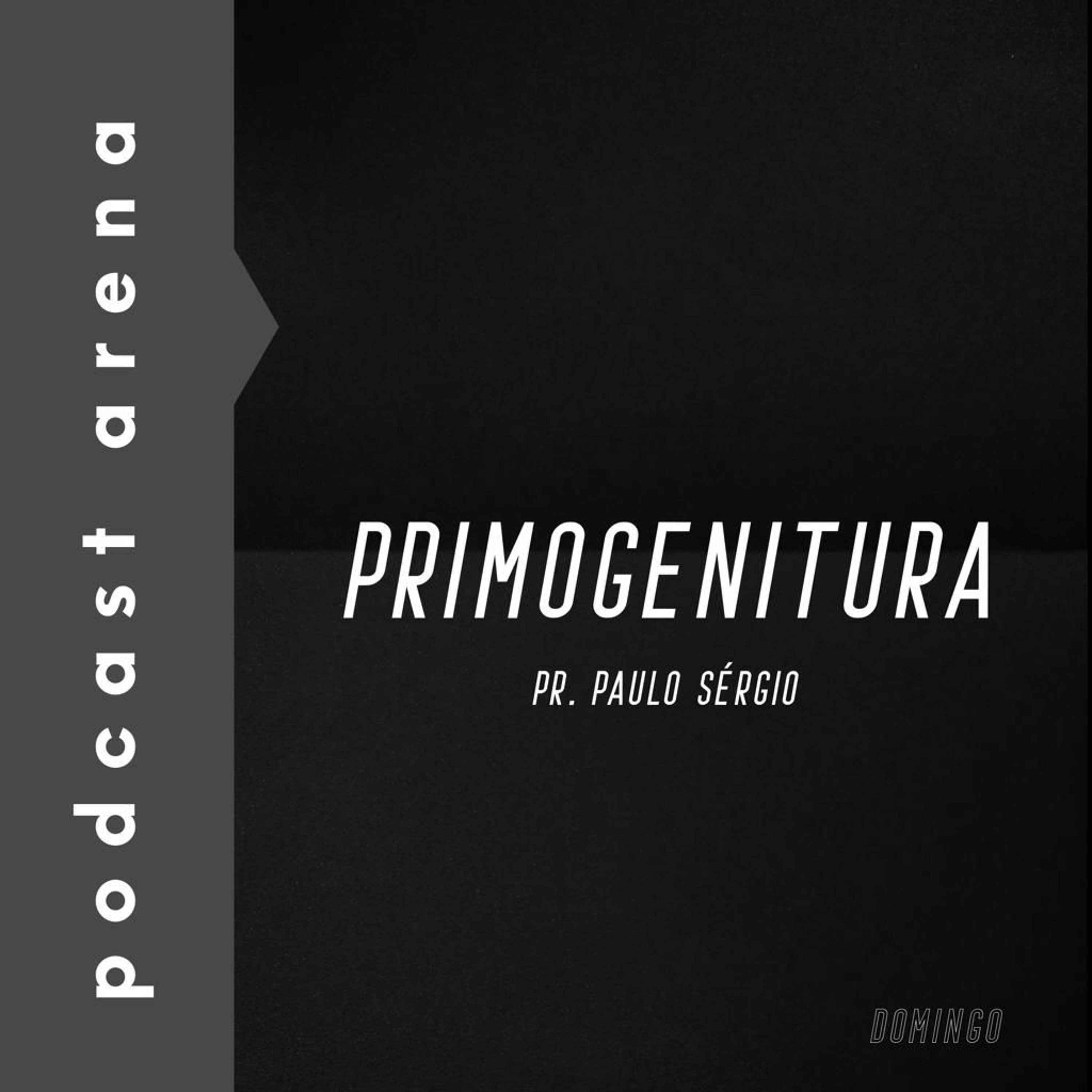 Arena Transformados