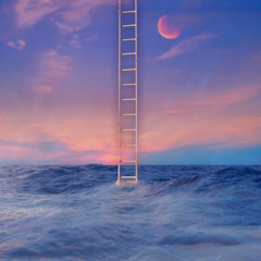 Archipelago (Loopable Rain)