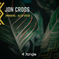 Jon Cross - Alta Vista