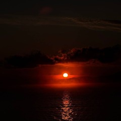 into the night - bounce