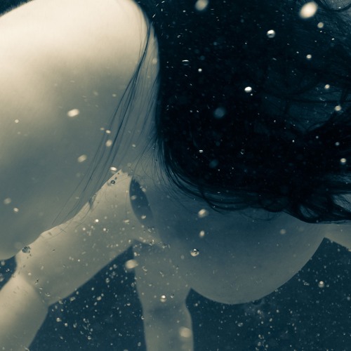 Springvossen 570 Mariken Wessels