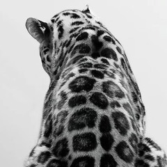 Баста & Рем Дигга-Одна Любовь