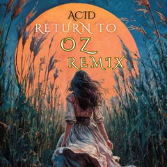 Scissor Sisters - Return to Oz (Acid Remix) - EDIT