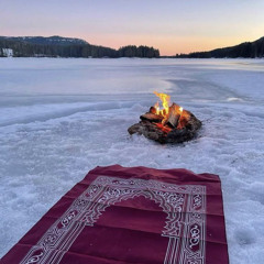 ‎⁨سورة فصلت كاملة الشيخ أحمد أبو بكر رمضان 1446 ||| 2025 ⁩