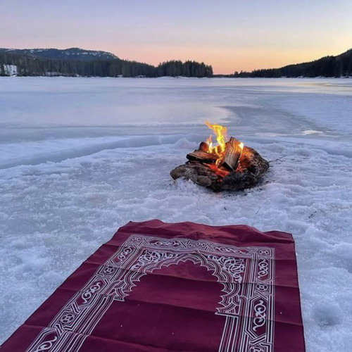 ‎⁨سورة فصلت كاملة الشيخ أحمد أبو بكر رمضان 1446 ||| 2025 ⁩