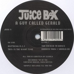A Guy Called Gerald - Anything V.2.1
