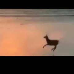 اول معرفت انك عايزني جيت اوام *فيديو الغزاله*