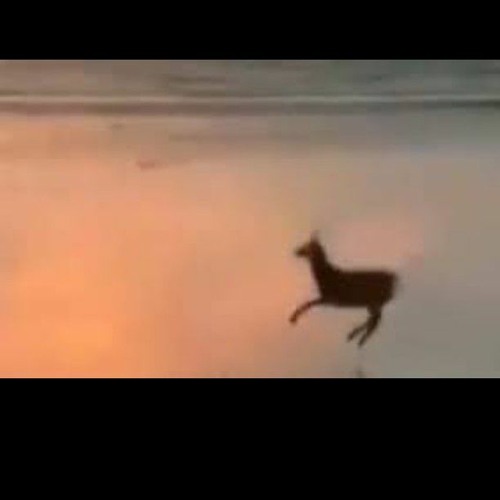 اول معرفت انك عايزني جيت اوام *فيديو الغزاله*