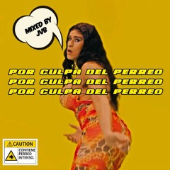 Por Culpa del Perreo - Mixed by JvB