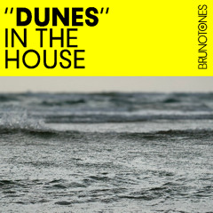 Dunes in the House