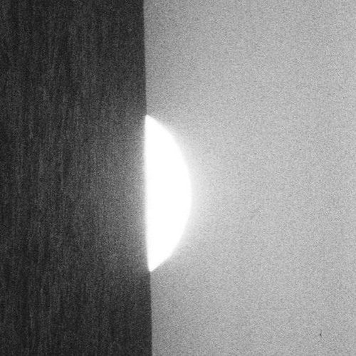 زلال الألباب*