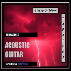 REIMAGINED - Sky is Bleeding  ( acoustic guitar ) - Lyrics