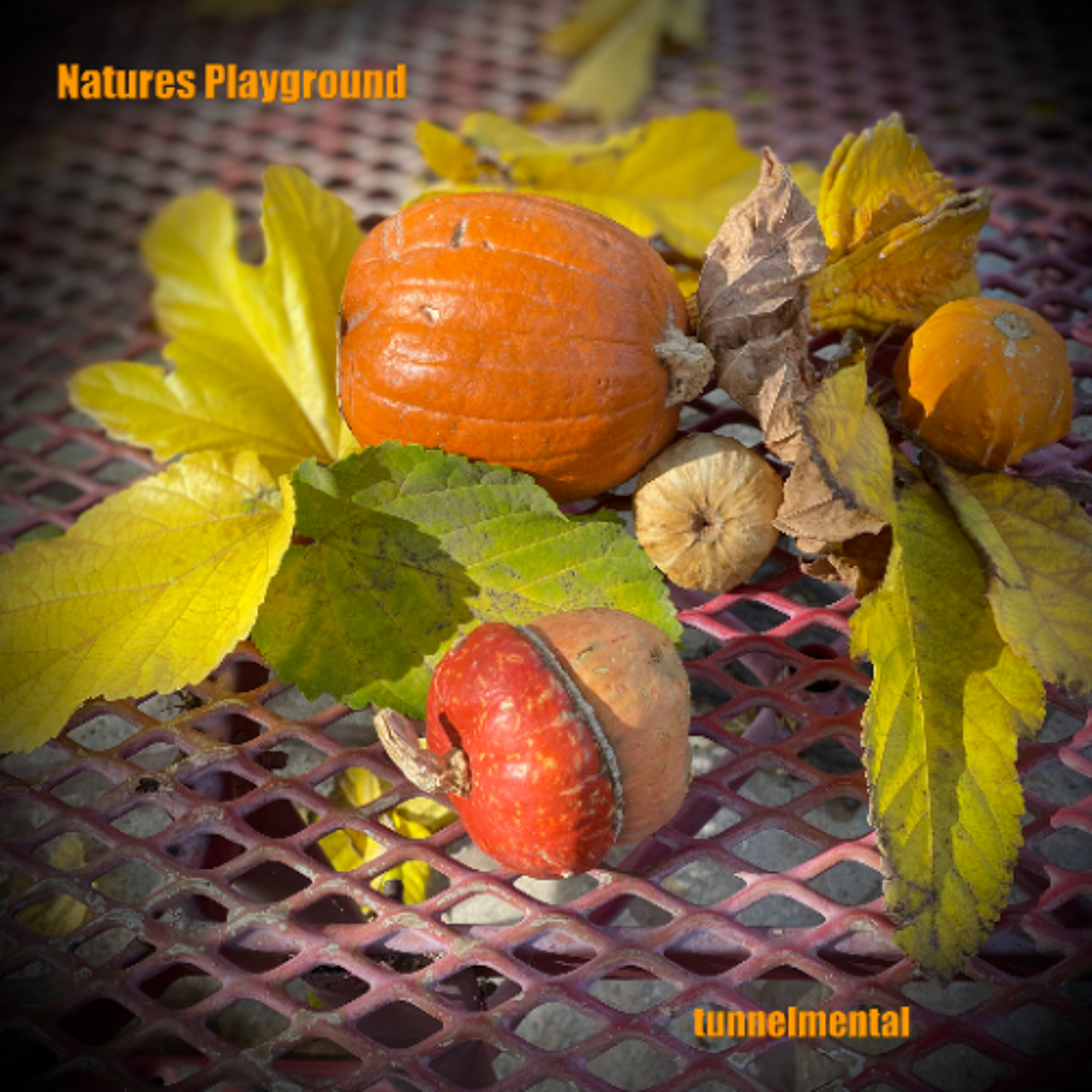 Natures Playground episode artwork