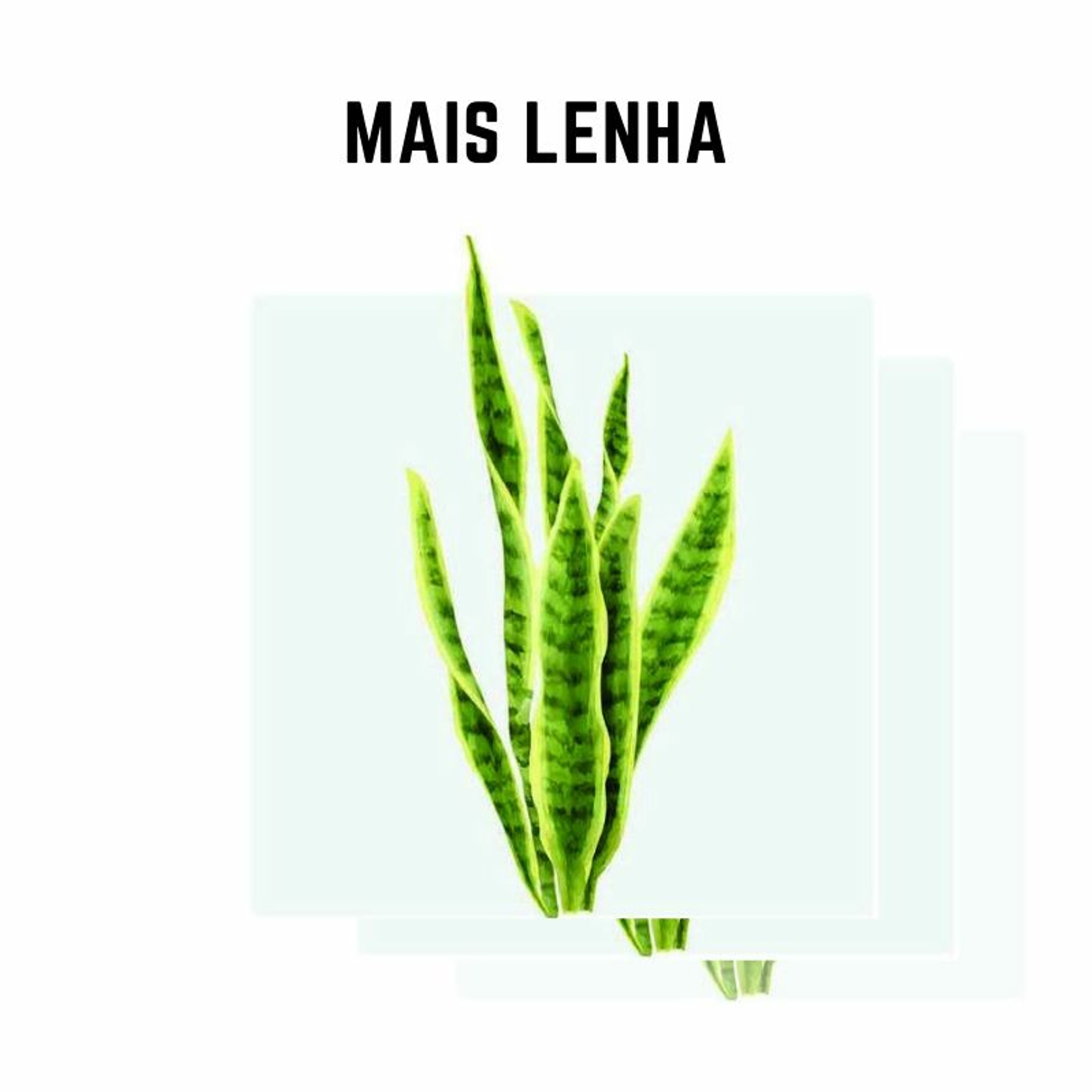MAIS LENHA. episode artwork