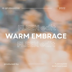 Chris Brown - Warm Embrace (fleek edit)