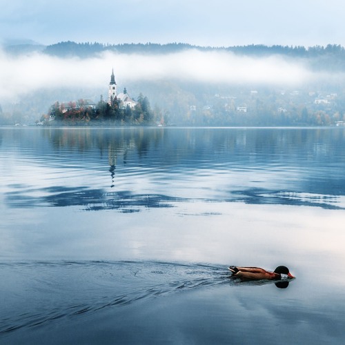 Dima: Pantomima (Pantomime), 2013