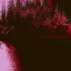 retrososa - many more
