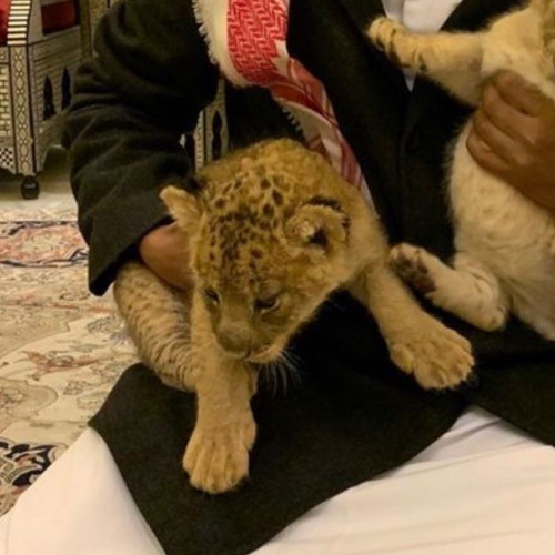 Husain Al Jassmi - Al Khiyana حسين الجسمي - الخيانة