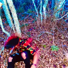 Dimensions On Rockshine