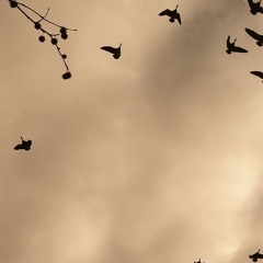 every mix I ever made was a bit sad