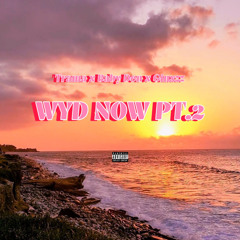 WYD NOW PT.2 (feat. Baby Don & Ginxzz)