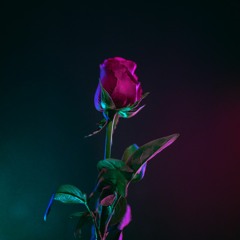 LOVE TRAP BEAT(ROMANTIC).mp3