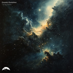 Cosmic Evolution - Falling Deep