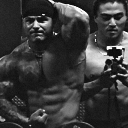 Comfortabel Liar x Berserk x Tren Twins