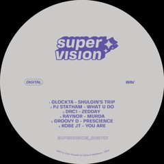 Supervision Digital Various 01 (SUPERVISIONDIGIT01)