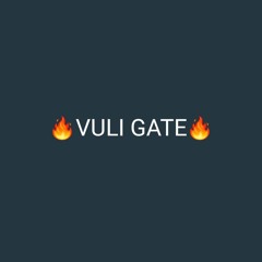 VULI GATE ( MATTOZ x MUSH FROM DaJo