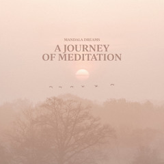 A Journey of Meditation