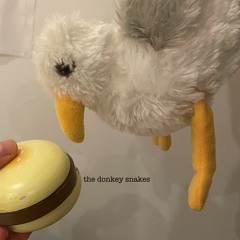 Are You Ready For The Seagull?