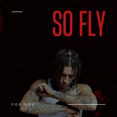 TimmyDark - So Fly For You