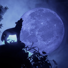 A Dance Beneath the Stars