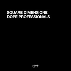 The Professionals (Remix By DJ Buzz Fuzz)