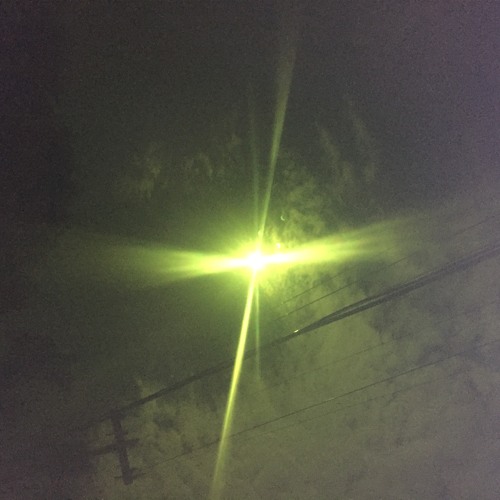 sunday lazer July 21 '24 excerpt .3