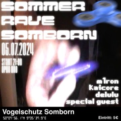 Sommer Rave Somborn