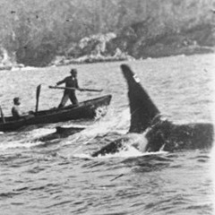 The Law Of The Tongue (2016)