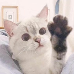 félix - espaço tempo