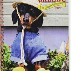 [Access] PDF EBOOK EPUB KINDLE Crusoe the Celebrity Dachshund 2019 Engagement Calendar (Dog Breed Ca