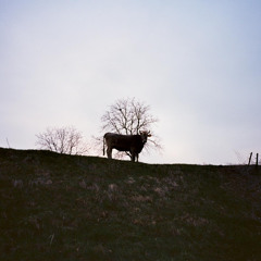 untitled 6