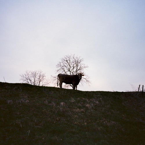 untitled 6