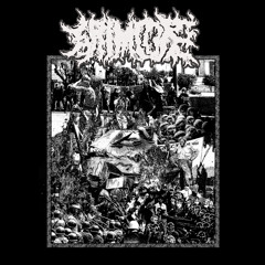 grimcore x YAYYAY - we the new wave [grimcore]