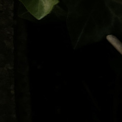 文明児 / Khaki