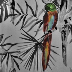 Friend Request #1: Goodbye Hamilton by Erobique