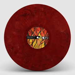 MS066 - Radikal Guru & Bukkha ft. Parly B - Burning