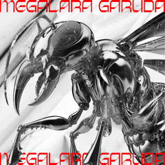 Megalara Garuda