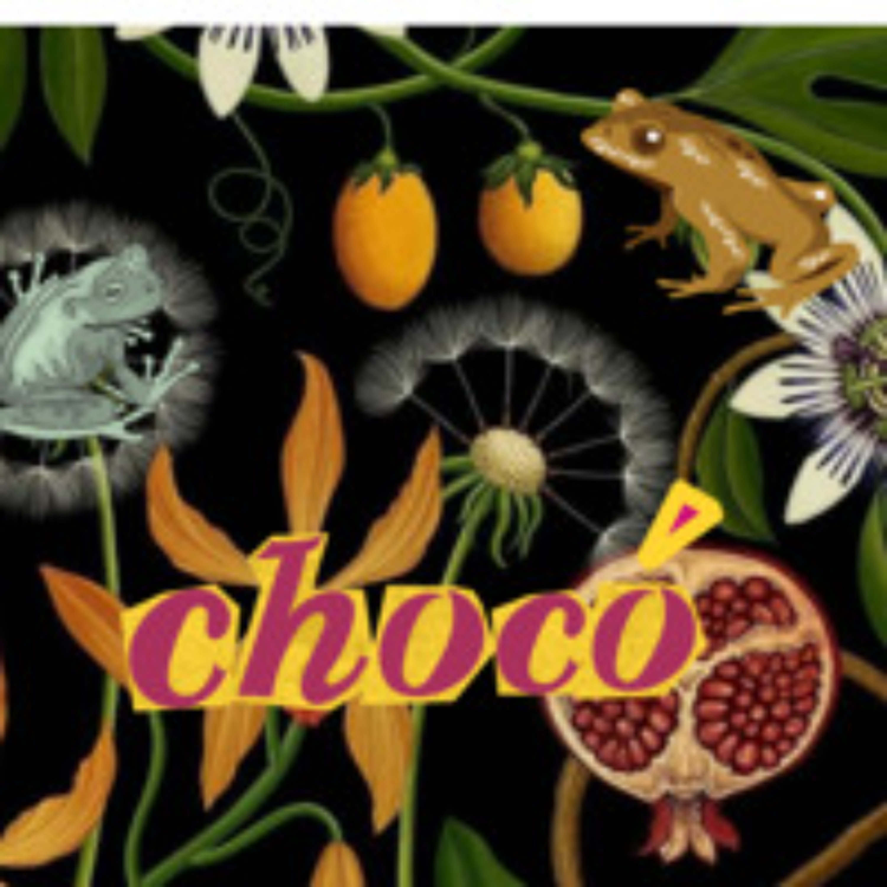 Paisajes Sonoros Archivo de Prensa - Chocó episode artwork