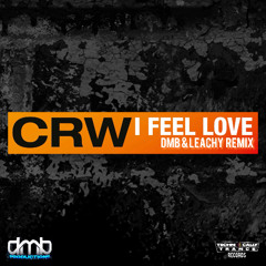 CRW - I Feel Love (Dmb & Leachy Escape Mix)